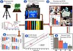 Detection of combined frost and drought stress in wheat